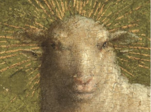 Detail of the head of the lamb before treatment.
